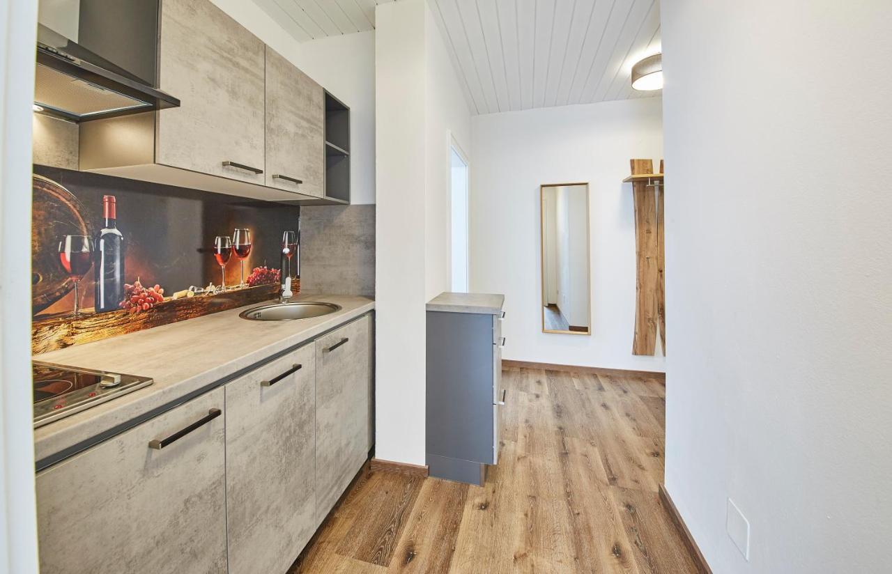 Appartements Haus Alexander Заалбах-Хинтерглем Екстериор снимка